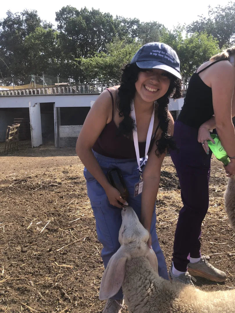 Rome Veterinary Health