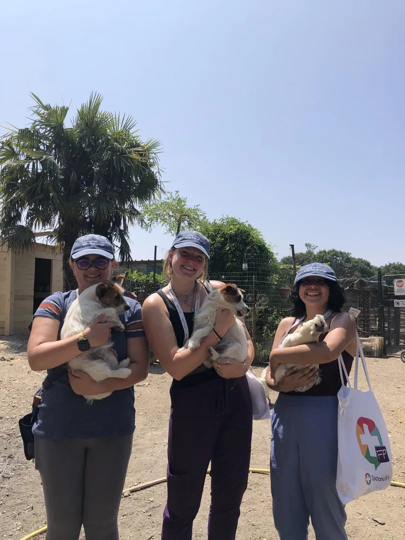 One Health Program - Header