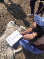 Milan Veterinary Health