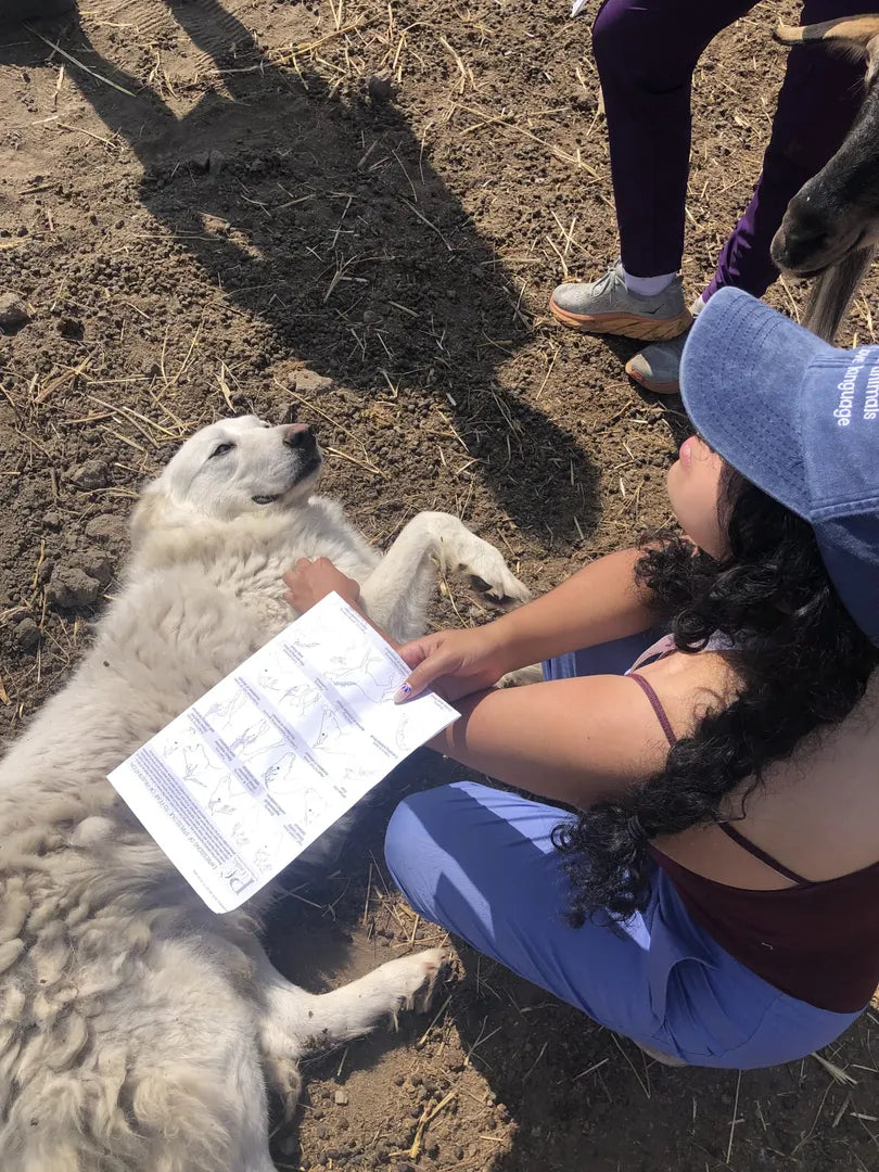 Milan Veterinary Health