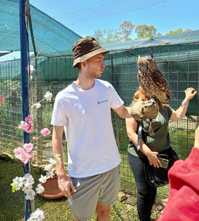 Florence Veterinary Health