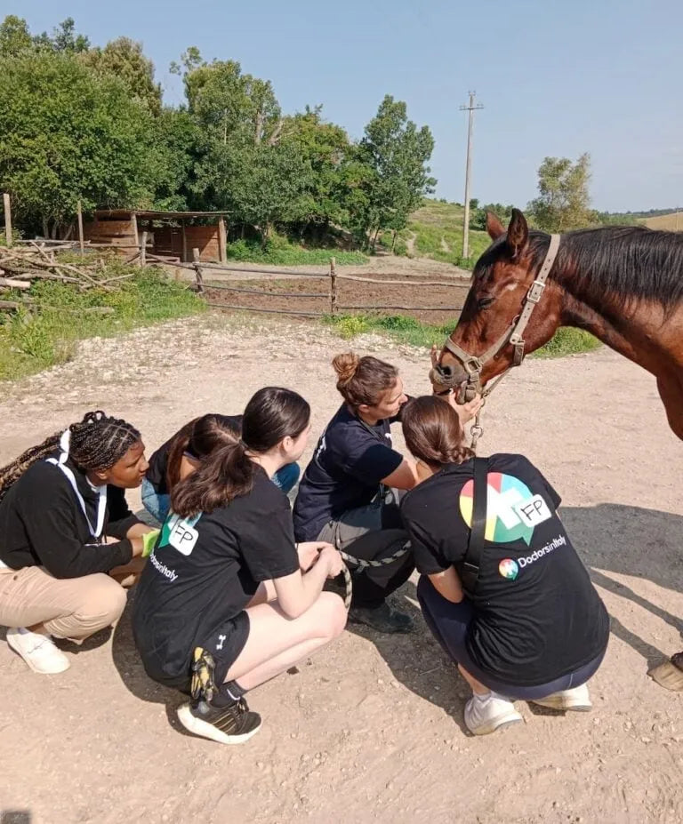 Florence Veterinary Health - Included Features