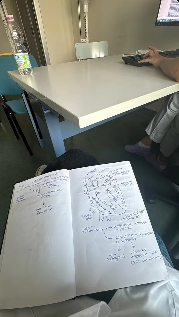 Ferrara Human Health