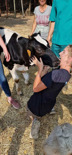 Milan Veterinary Health