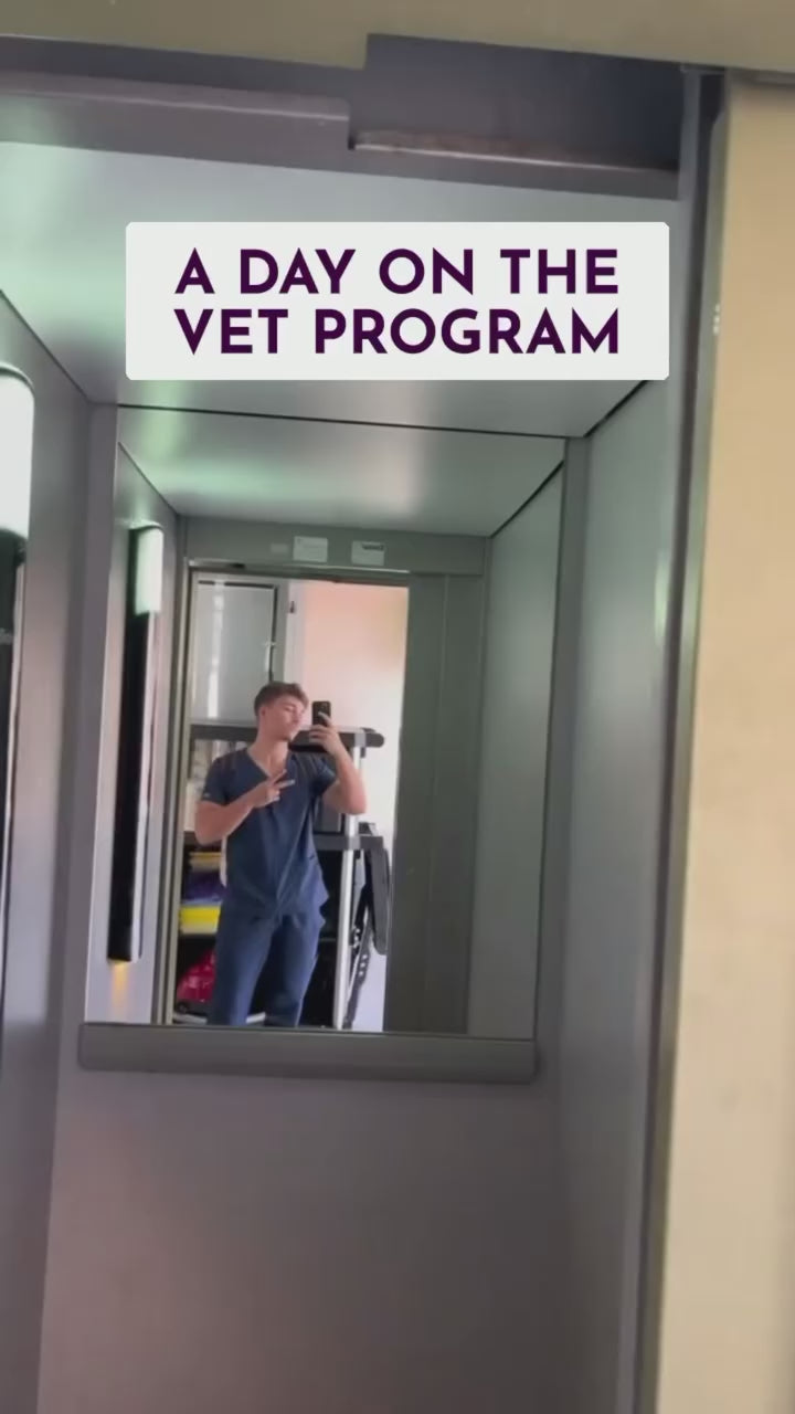 Milan Veterinary Health - Video