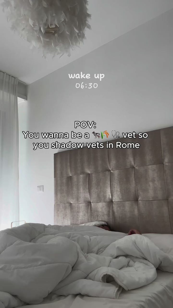 Rome Veterinary Health - Video